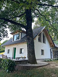 Fasaderska dela